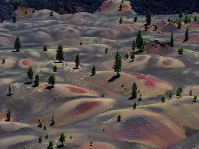 Lassen National Forest — Lassen National Forest