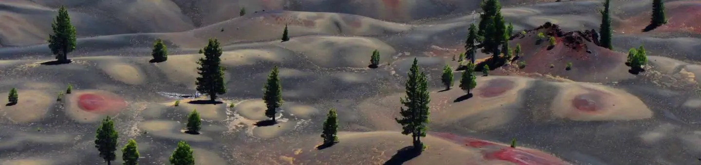 Lassen National Forest