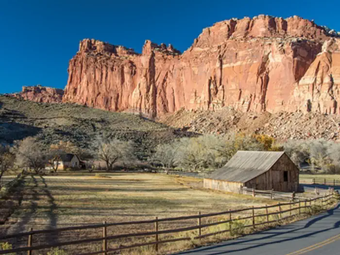 Capitol Reef National Park — A brown barn is in a grassy field. A fence separates the field from the road. Behind the barn are leafless trees and orange-red rock rises above the landscape. The sky is a rich, cloudless blue.