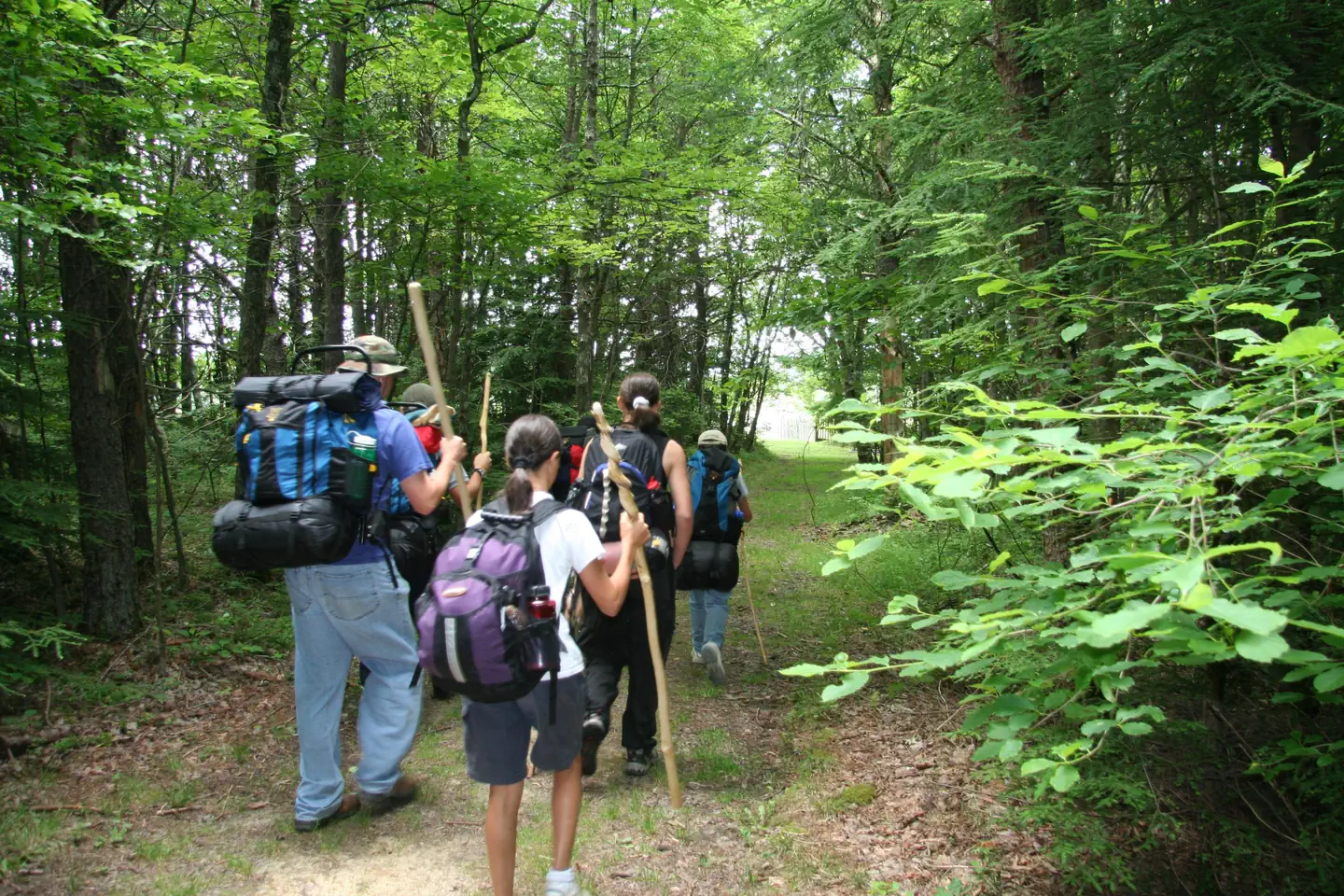 Cumberland Gap National Historical Park — A group of 6 hikers with backpacks and walking sticks walk on a trail through the forest.