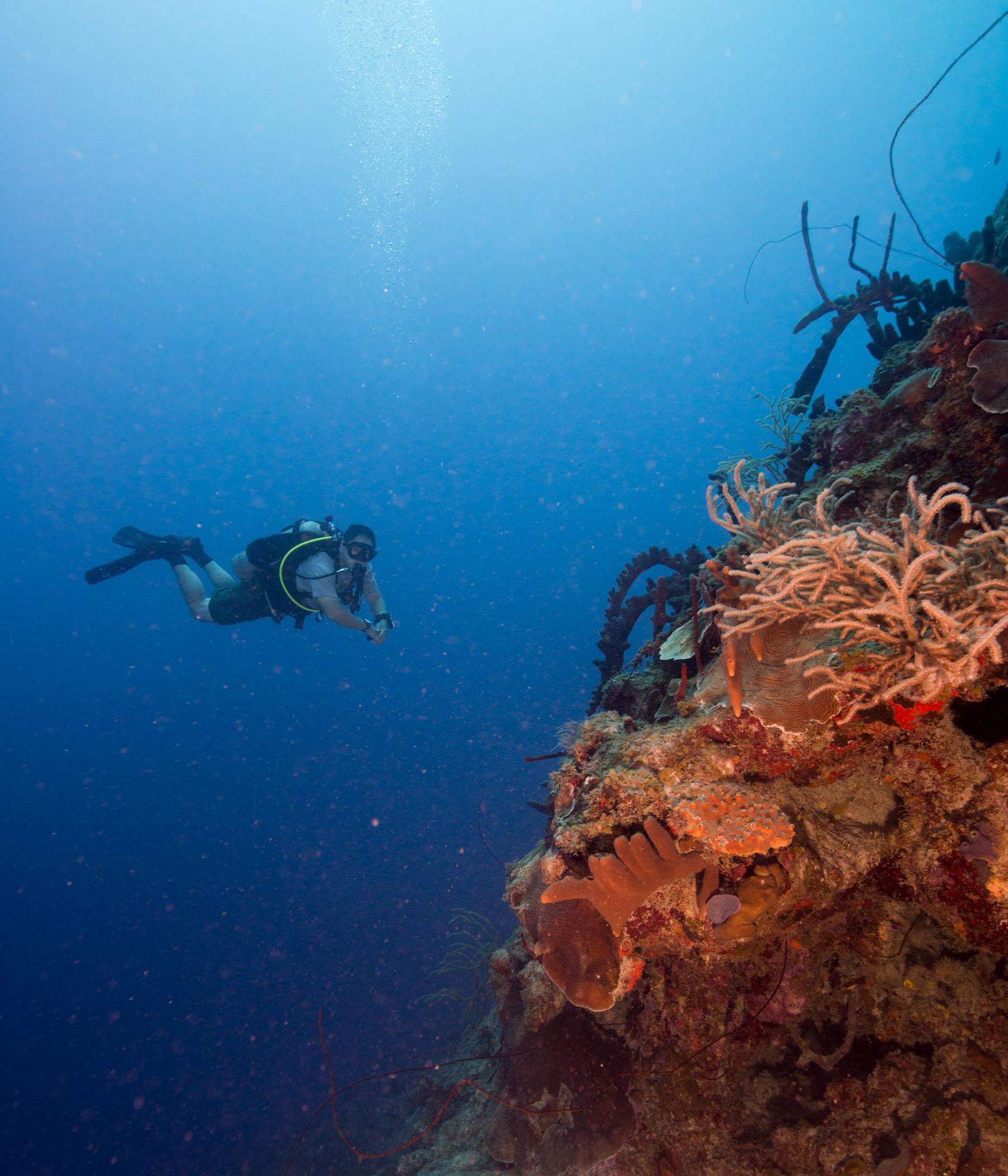 Salt River Bay National Historic Park and Ecological Preserve — Diving the wall