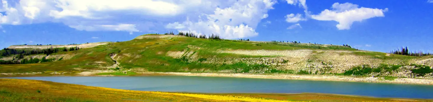 Manti-La Sal National Forest