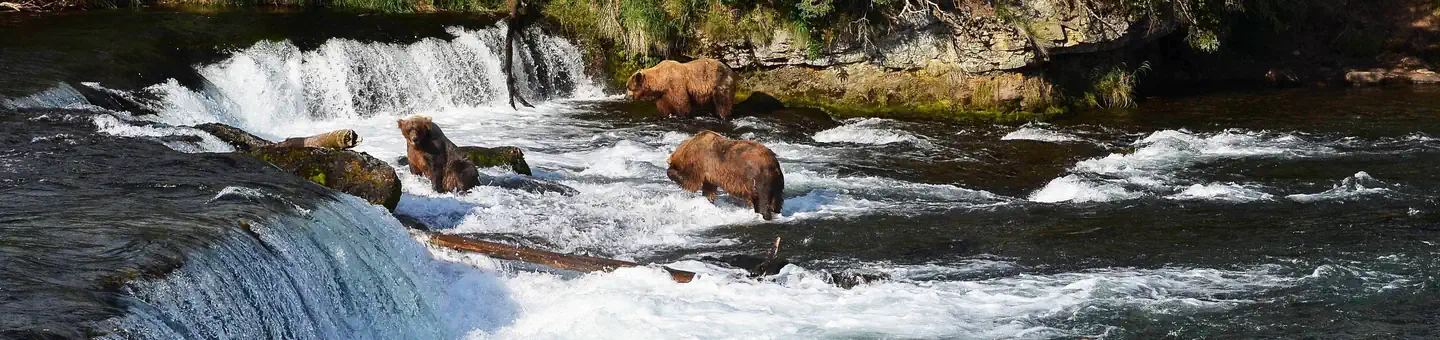 Katmai National Park & Preserve