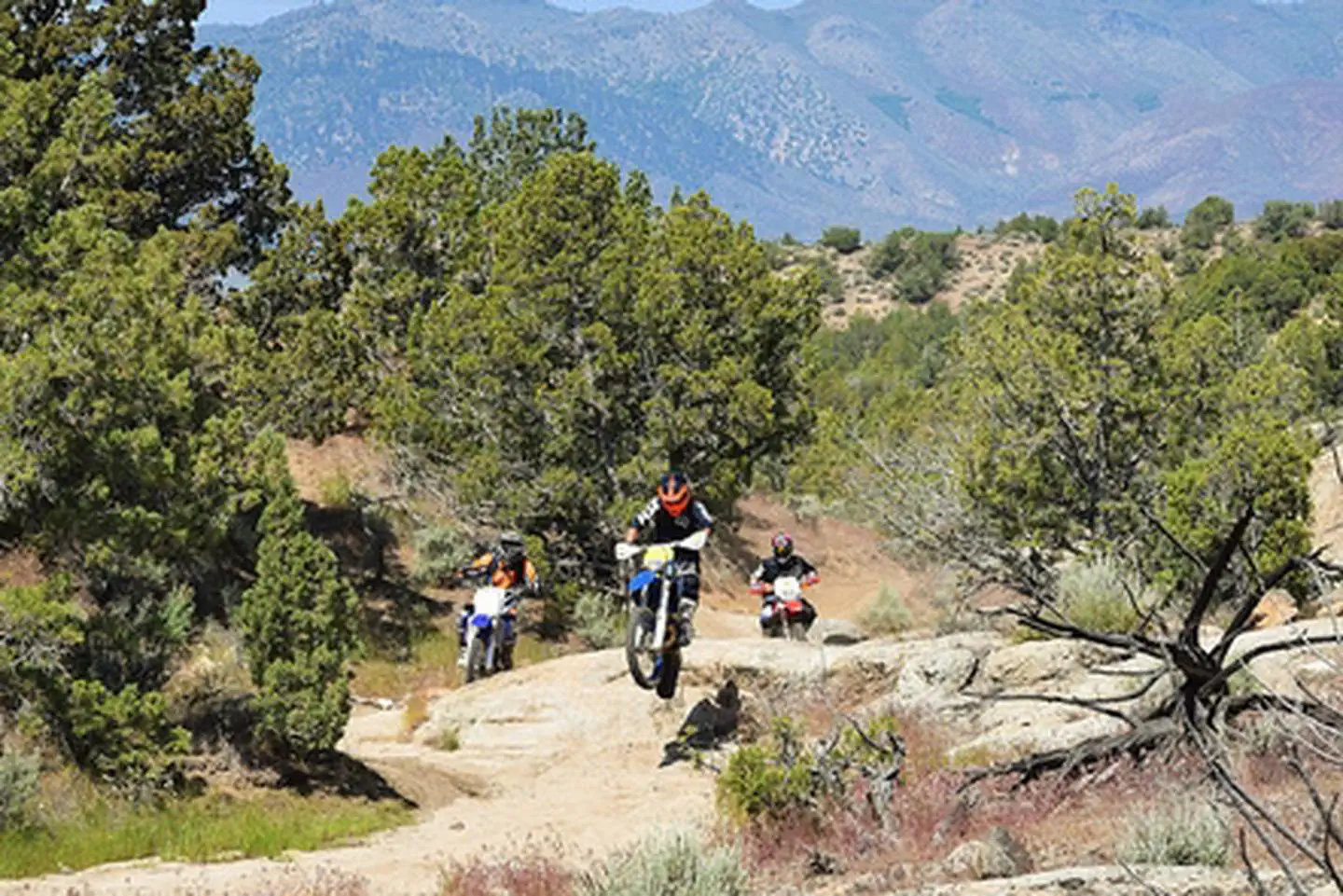 Fort Sage Off-Highway Vehicle Area — Fort Sage OHV Area Photo of Riders on Trail 15