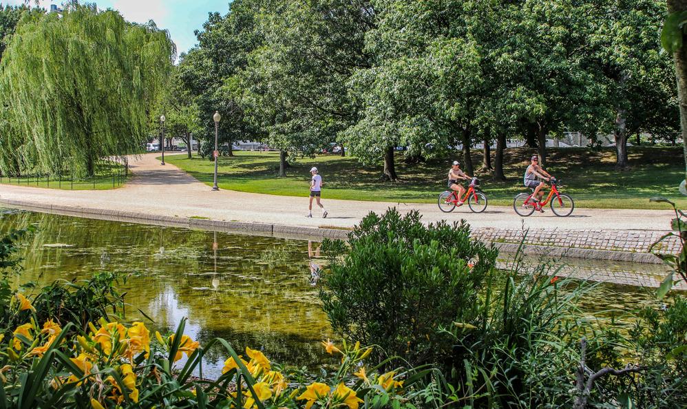 Constitution Gardens