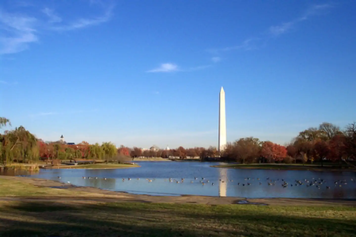 Constitution Gardens — Constitution Garden