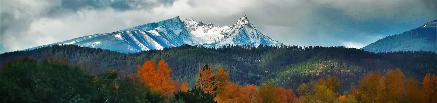 Bitterroot National Forest