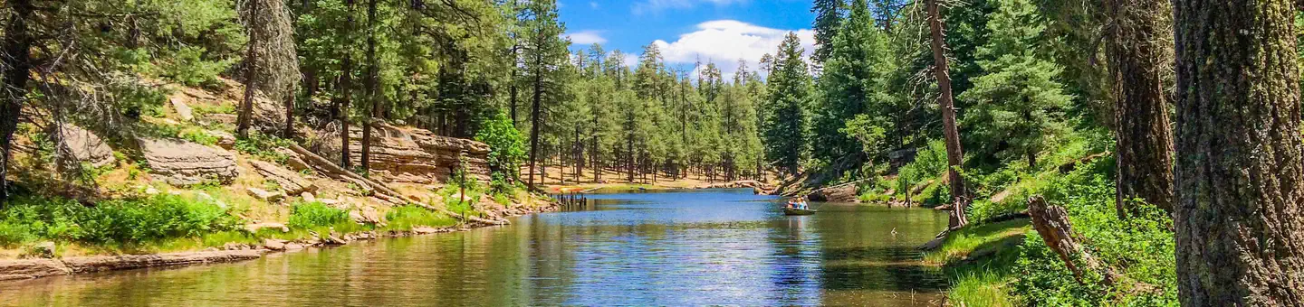 Apache-Sitgreaves National Forest