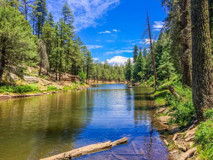 Apache-Sitgreaves National Forest — Apache-Sitgreaves National Forest