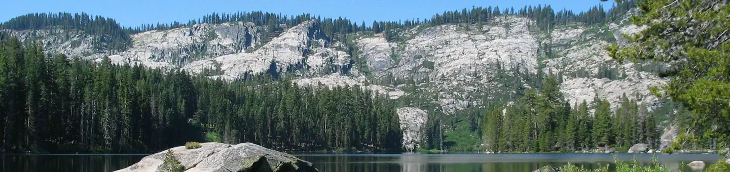 Plumas National Forest
