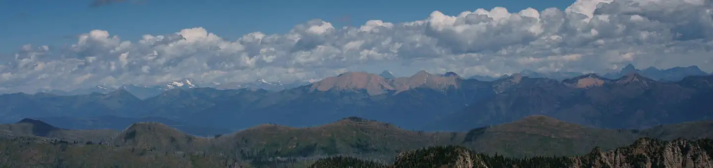 Flathead National Forest