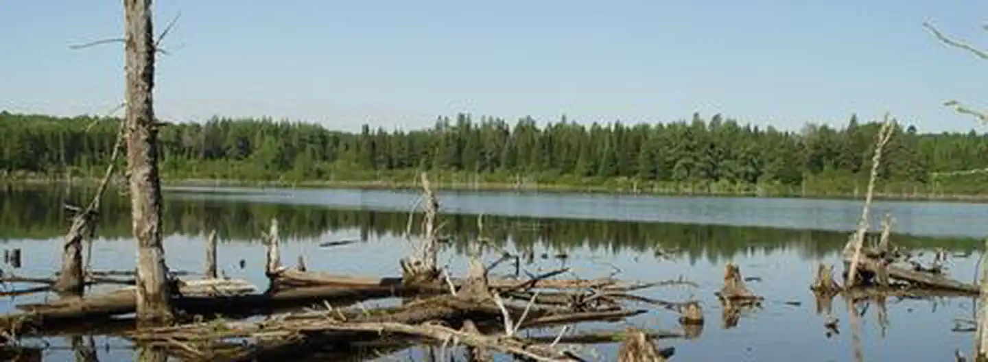 Aroostook National Wildlife Refuge