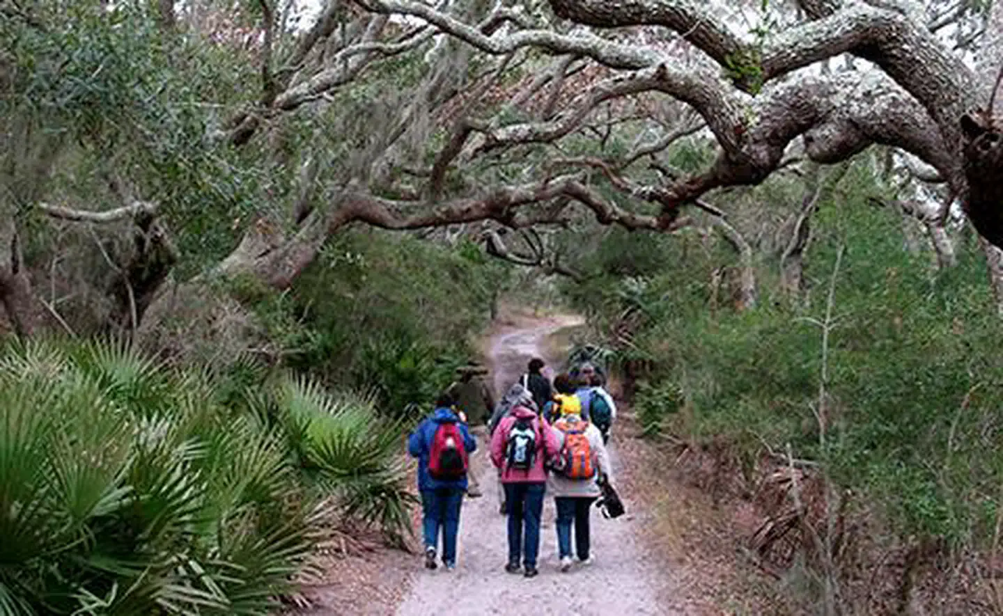 Sapelo Island National Estuarine Research Reserve