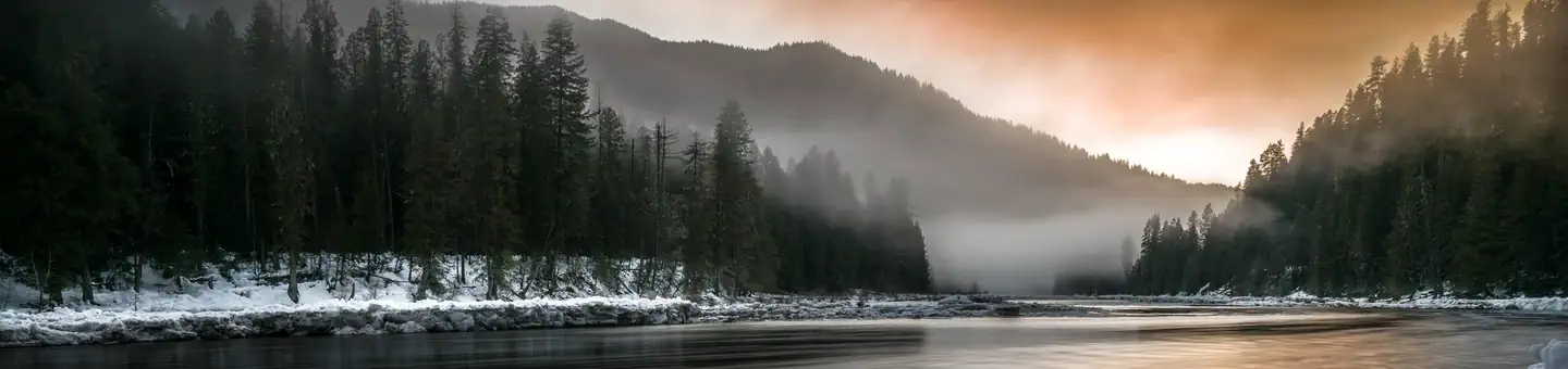 Clearwater National Forest