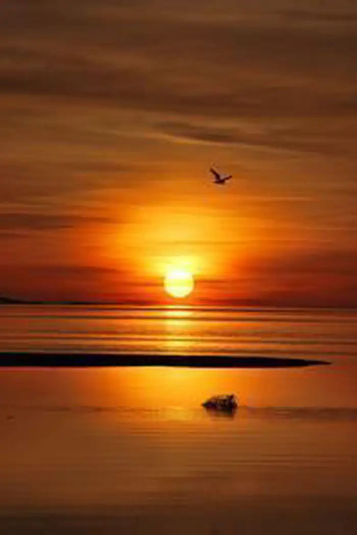 Antelope Island State Park