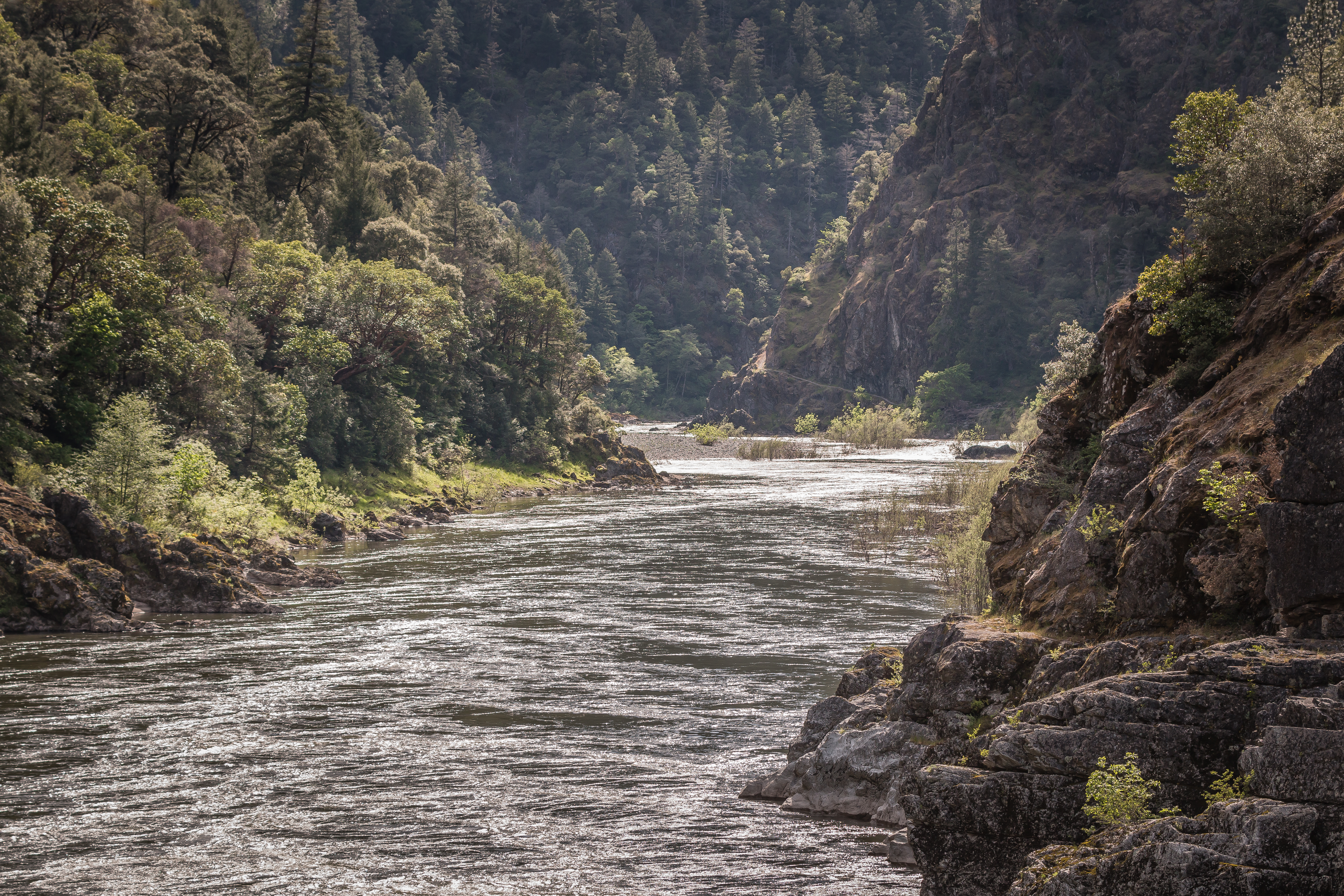 Rogue River National Recreation Trail — Rogue River View