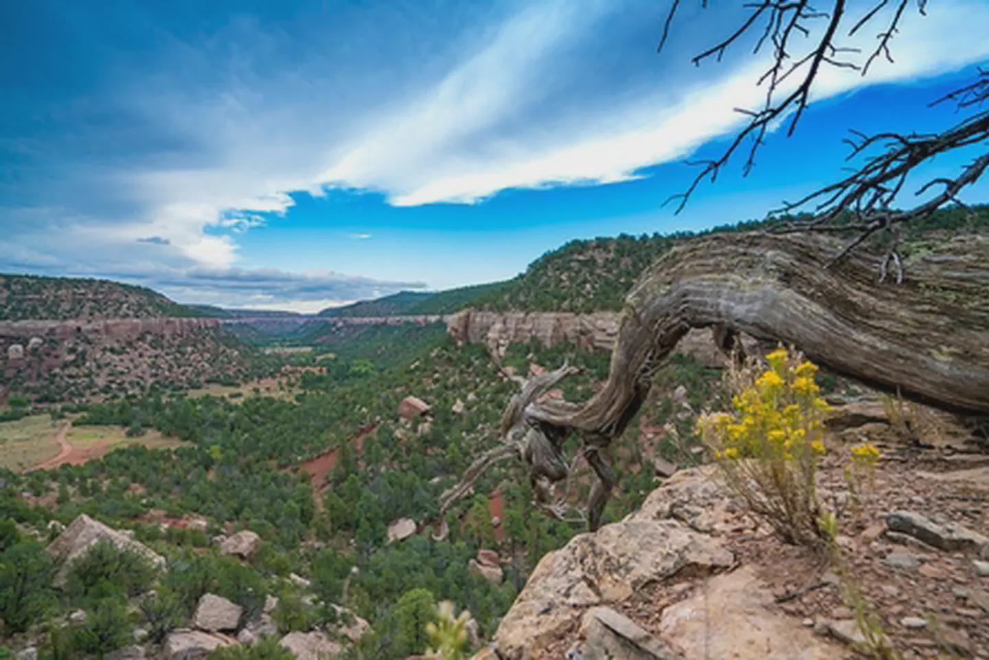 Sabinoso Wilderness Area