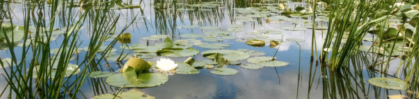 Trempealeau National Wildlife Refuge
