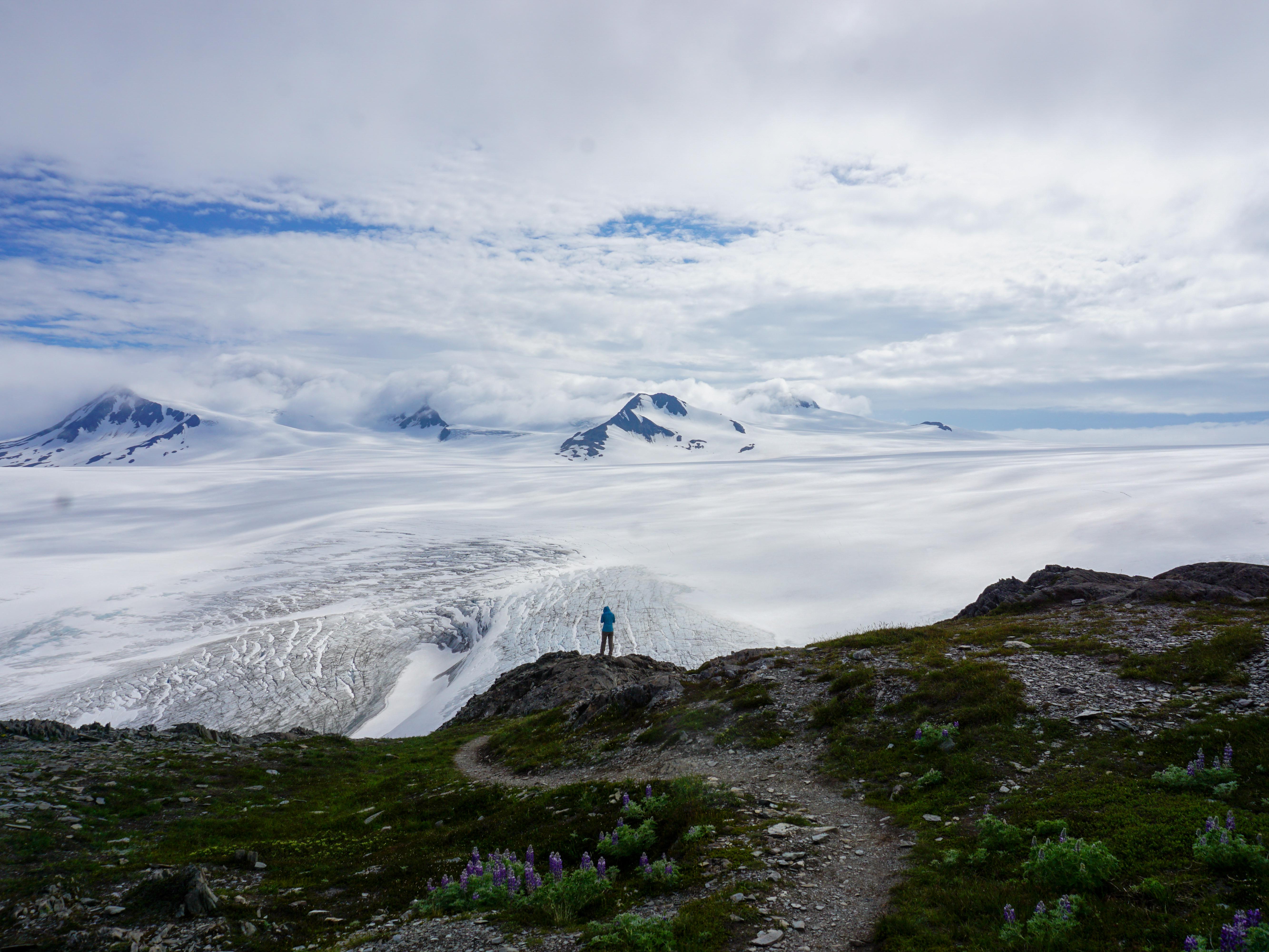 Kenai Fjords National Park — The Harding Icefield