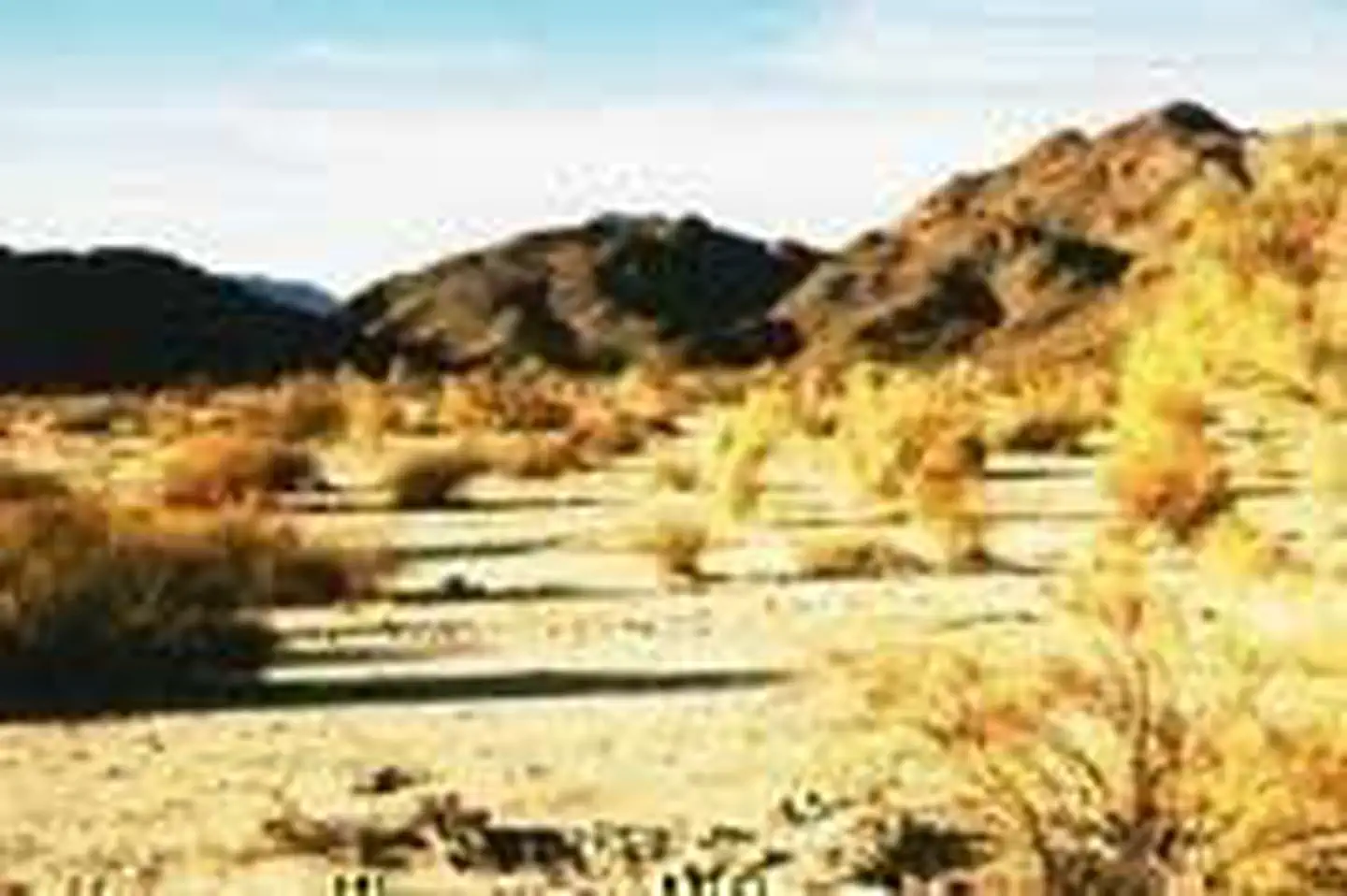 Cleghorn Lakes Wilderness
