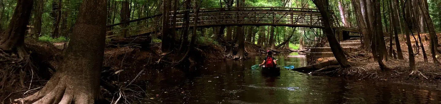 Congaree National Park