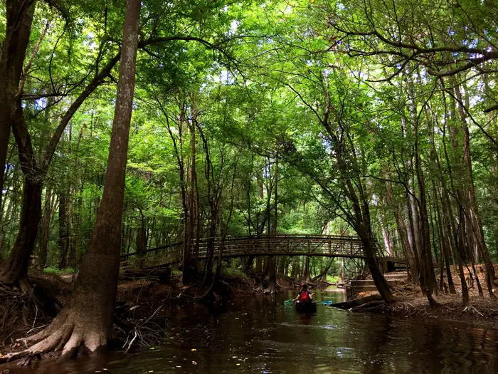 Congaree National Park — Congaree National Park