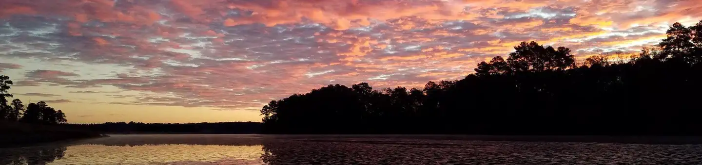 National Forests in Mississippi