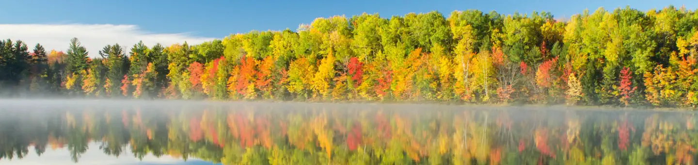 Hiawatha National Forest