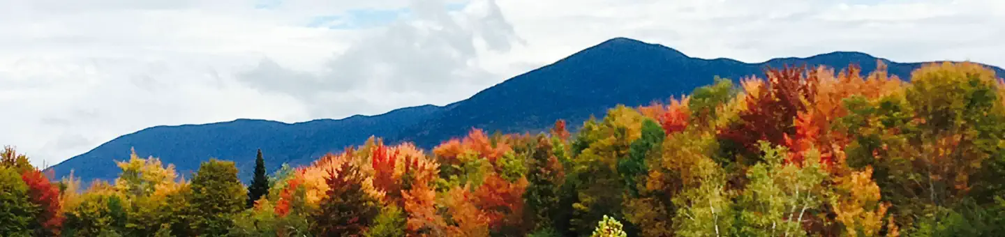 Green Mountain & Finger Lakes National Forests