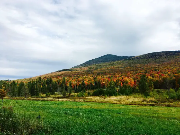 Green Mountain & Finger Lakes National Forests — Green Mountain & Finger Lakes National Forests