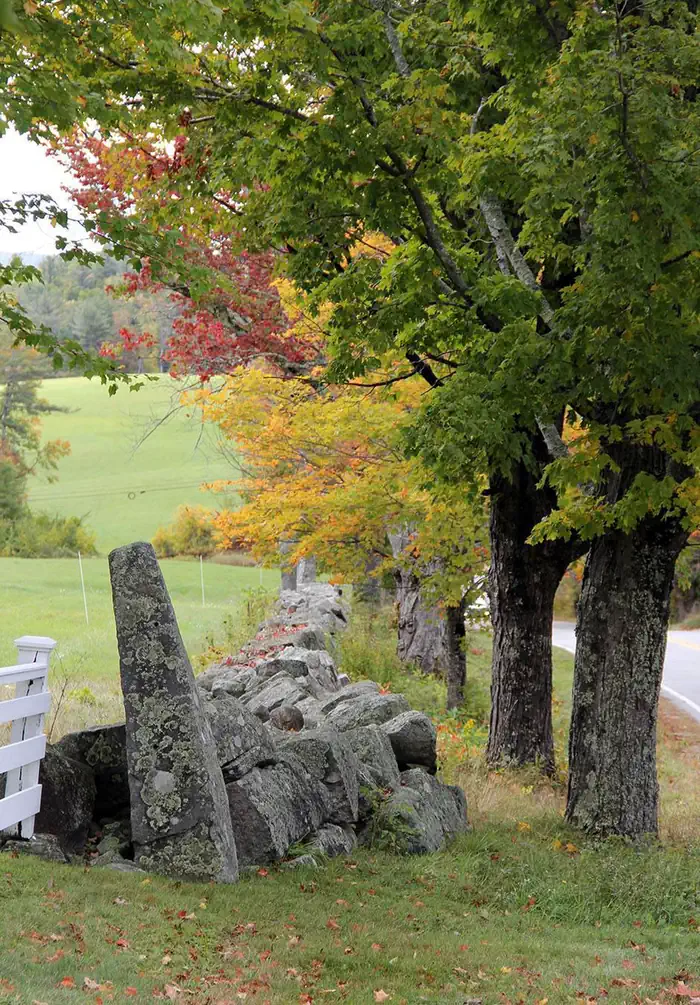 Green Mountain & Finger Lakes National Forests — Green Mountain & Finger Lakes National Forests Fall