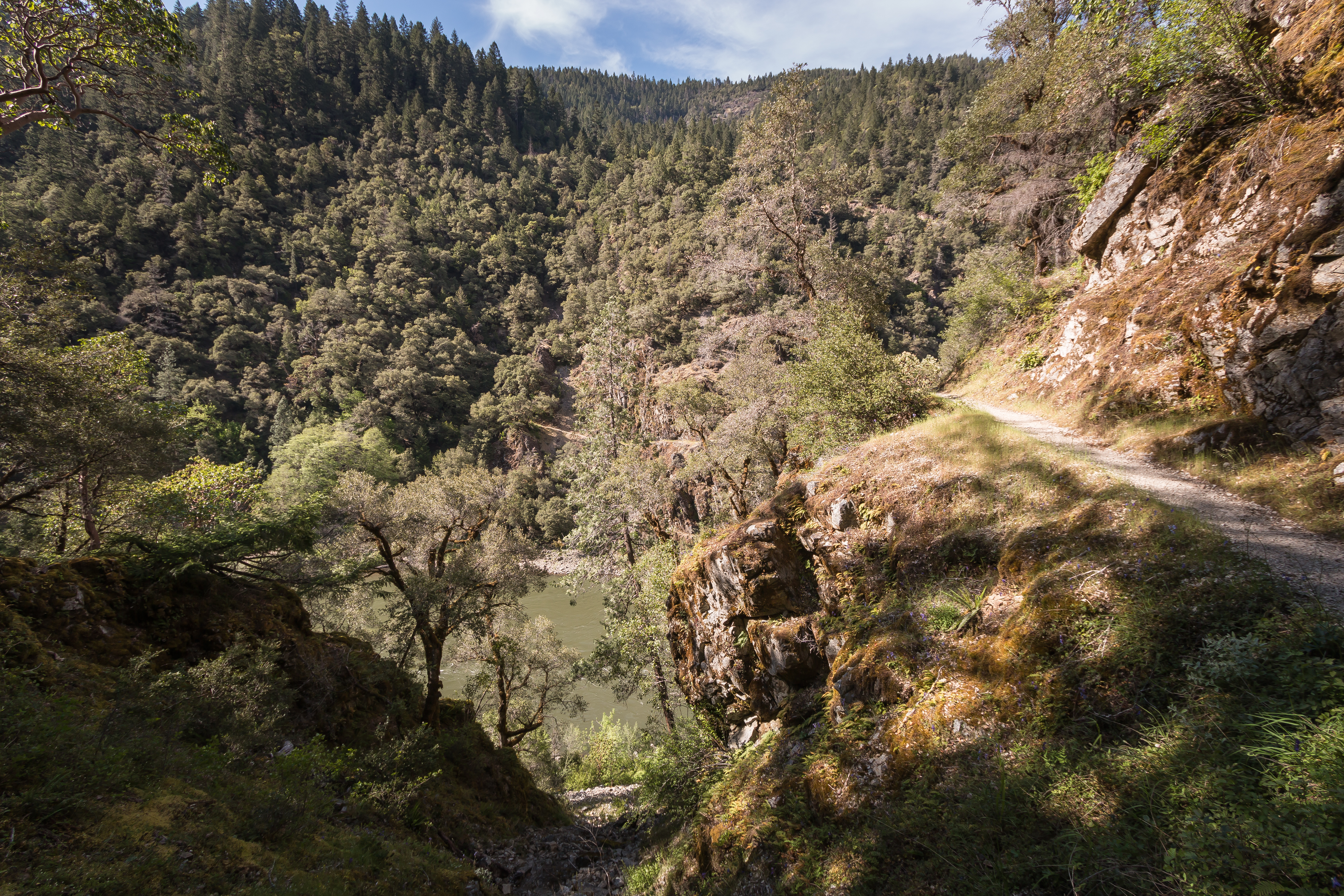 Rainie Falls Trail — The Rogue River & Rainie Falls Trail
