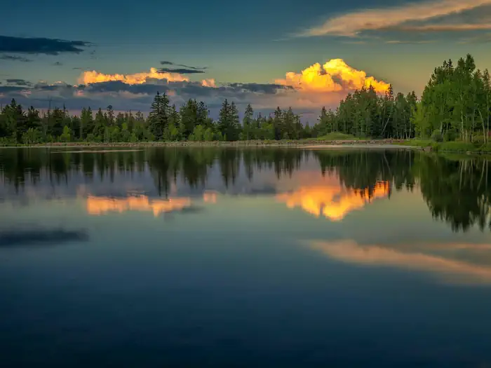 Dixie National Forest — Dixie National Forest