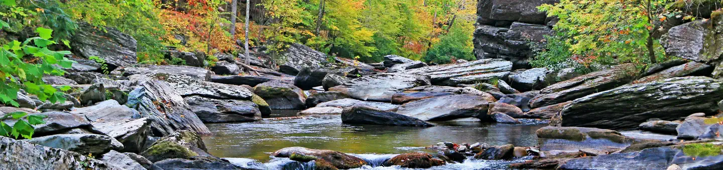 Cherokee National Forest