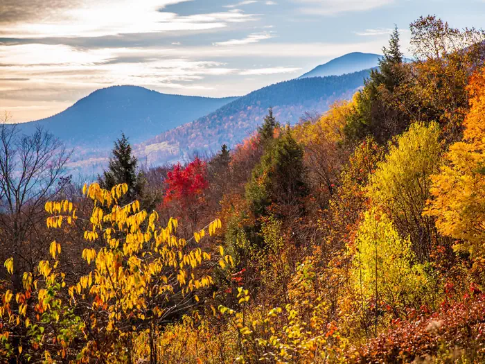 White Mountain National Forest — White Mountain National Forest