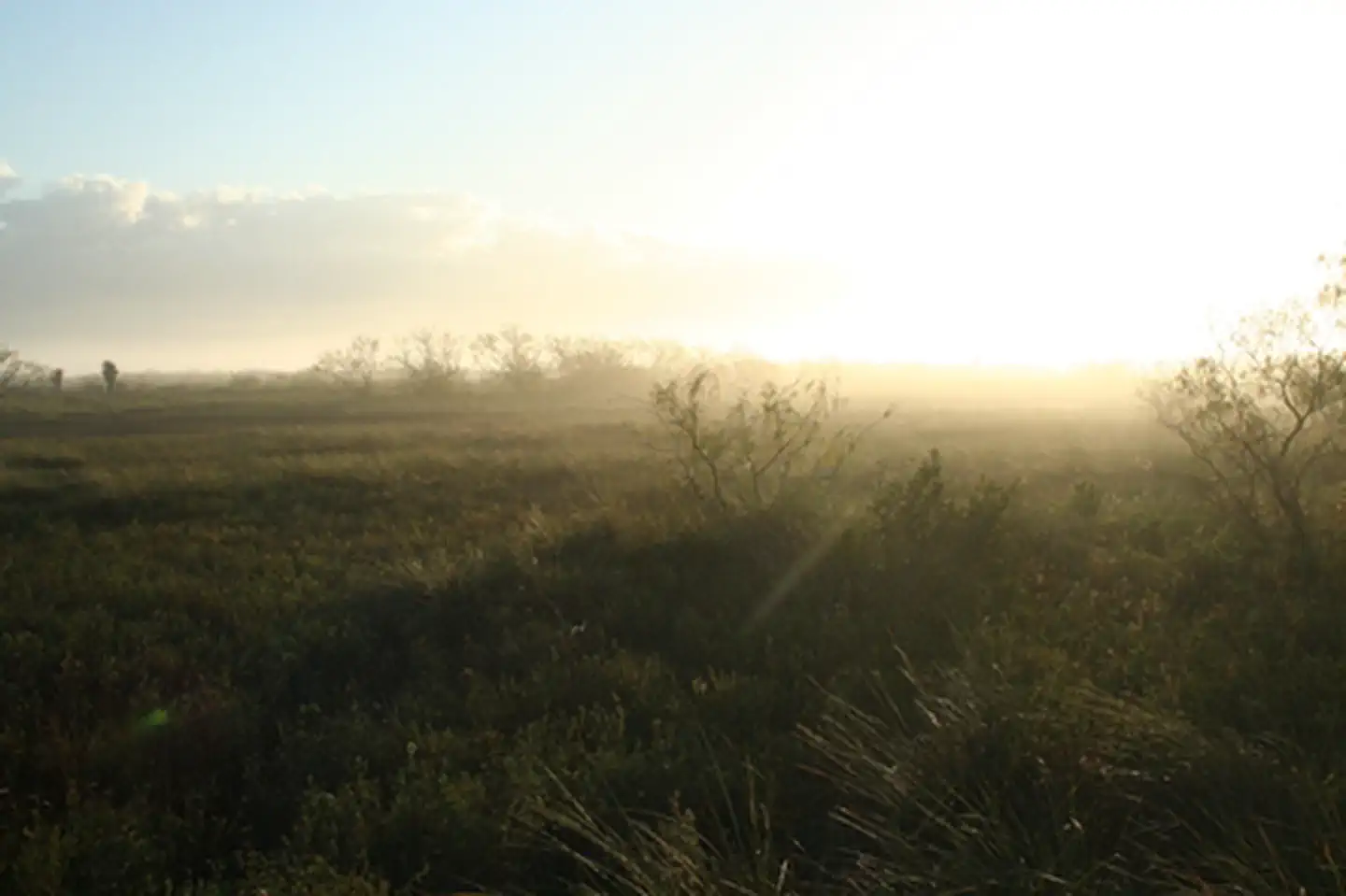 Palo Alto Battlefield National Historical Park — Sunrise