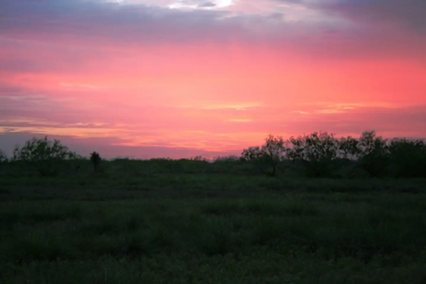 Palo Alto Battlefield National Historical Park — Sunset over the battlefield