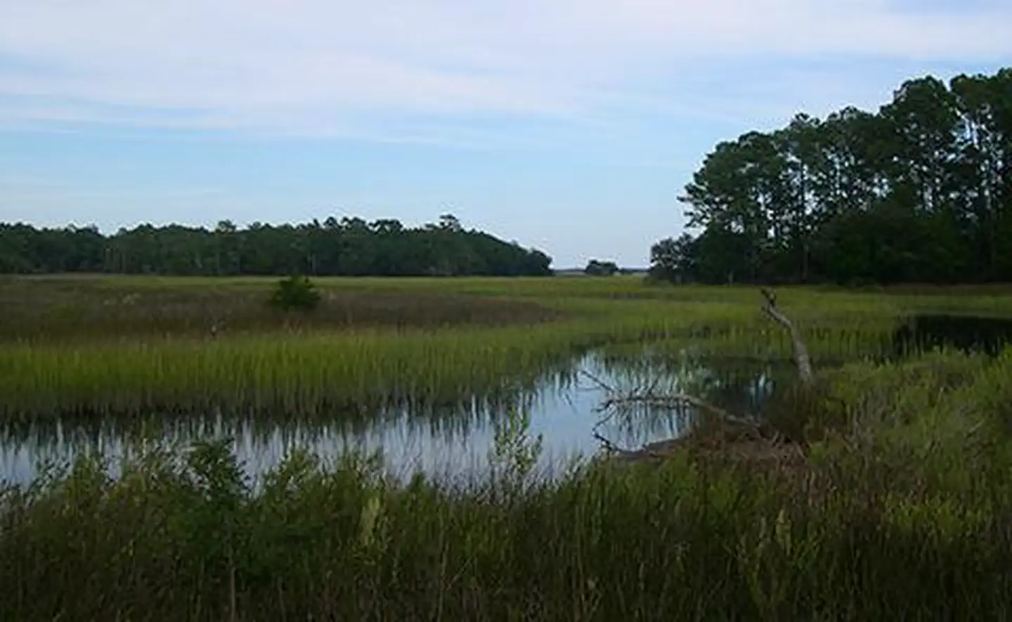 North Inlet-Winyah Bay National Estuarine Research Reserve