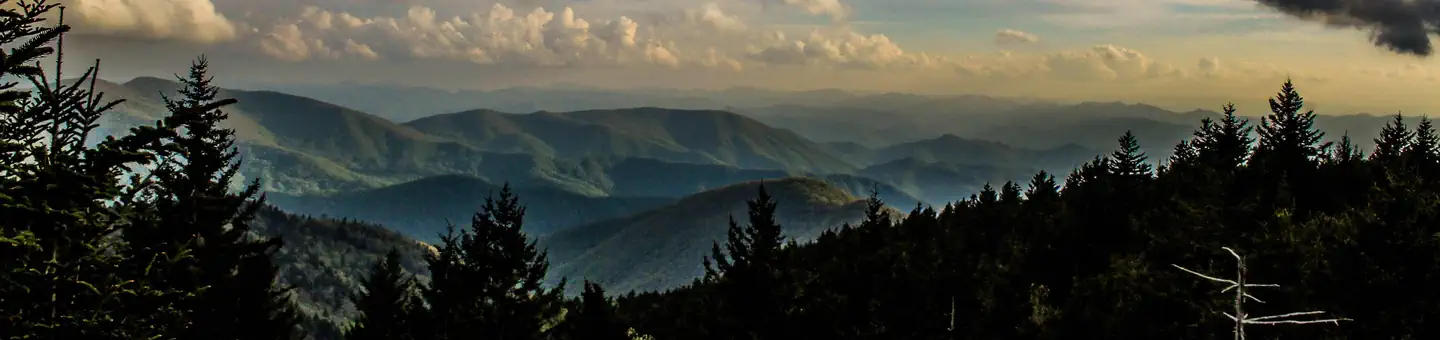 National Forests in North Carolina