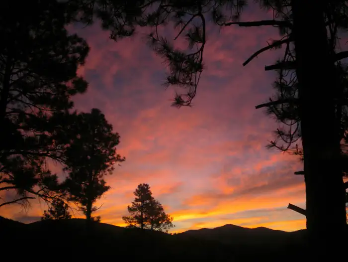 Helena-Lewis and Clark National Forest — Helena-Lewis and Clark National Forest