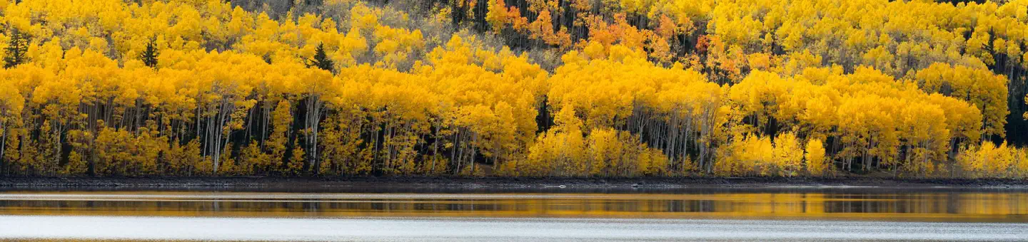 Fishlake National Forest