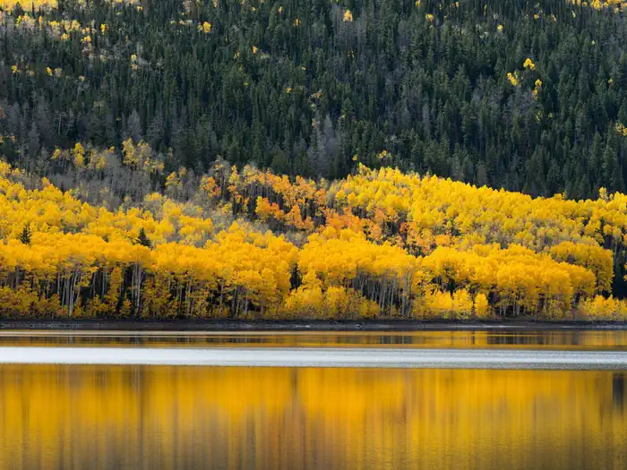 Fishlake National Forest — Fishlake National Forest