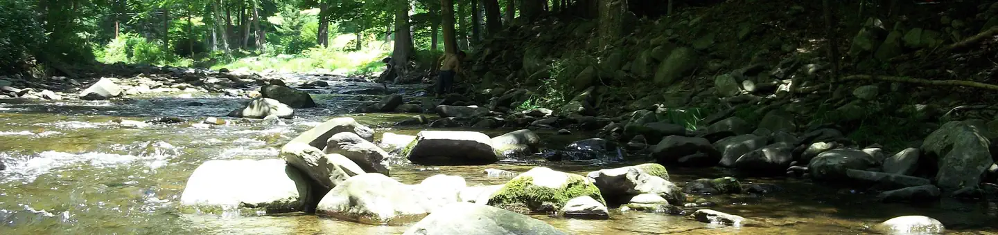 Upper Delaware Scenic & Recreational River
