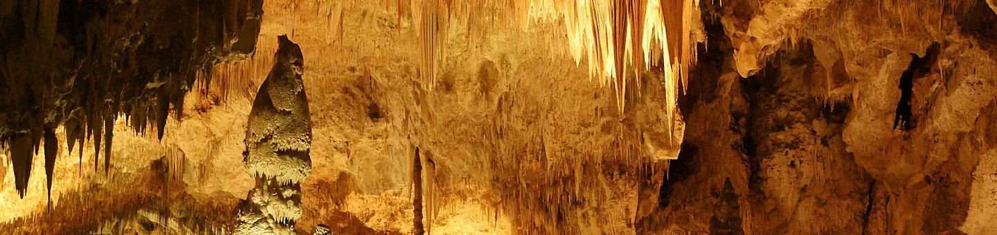 Carlsbad Caverns National Park — Carlsbad Caverns National Park