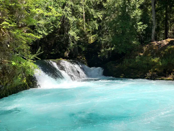 Willamette National Forest —