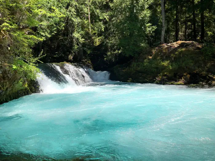 Willamette National Forest — The McKenzie River, Willamette National Forest