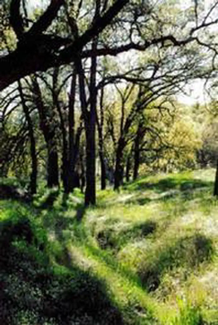 Cache Creek Wilderness