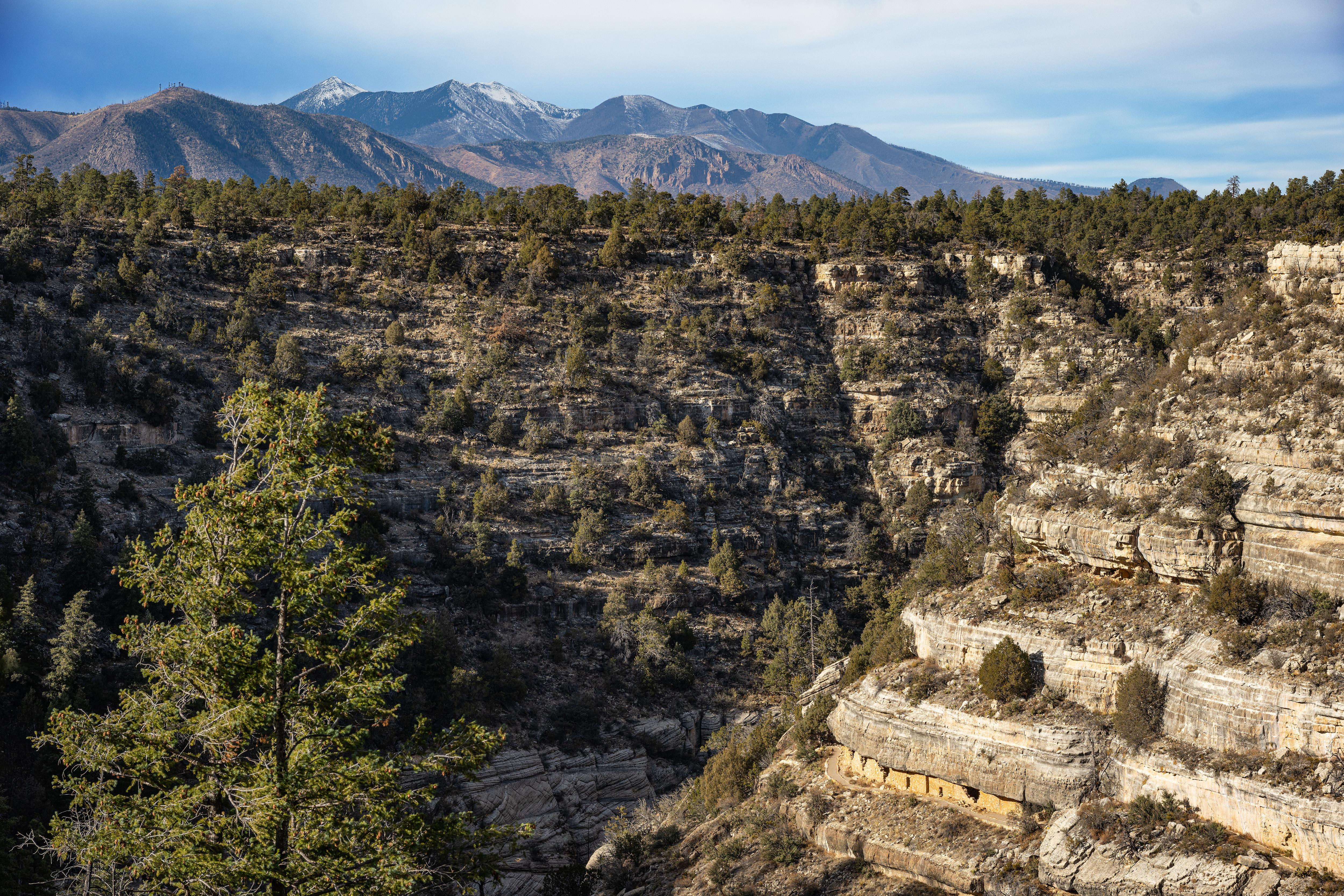 Walnut Canyon National Monument — Walnut Canyon, cliff dwellings, and the San Francisco Peaks