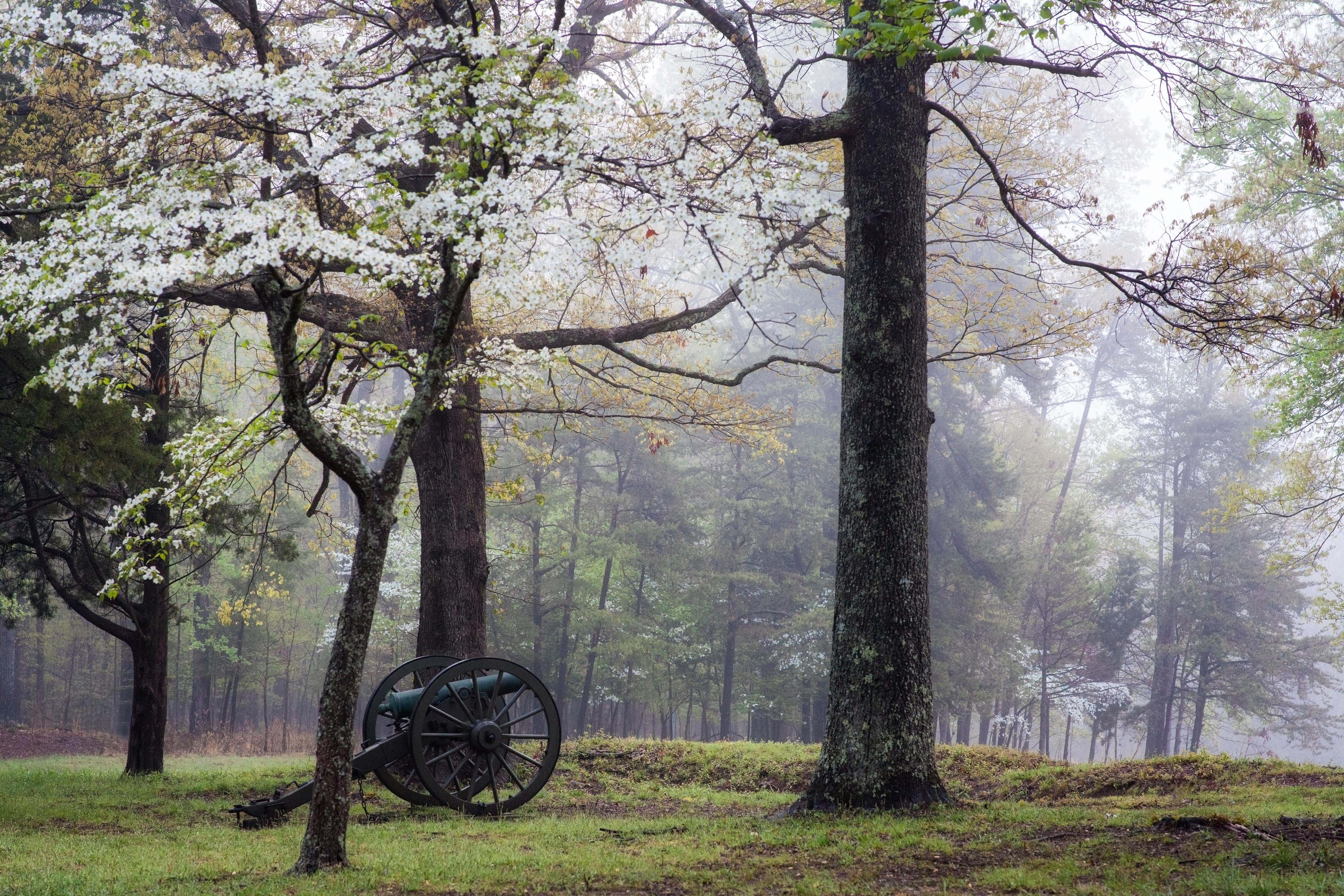 Fredericksburg & Spotsylvania National Military Park — Saunders Field in Spring