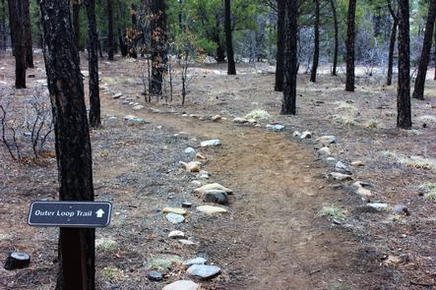 Manzano Mountains State Park